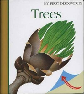 plant life cycle books for children